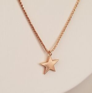 14K Rose Gold Star Necklace